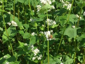 【その土地は誰のものですか?　】